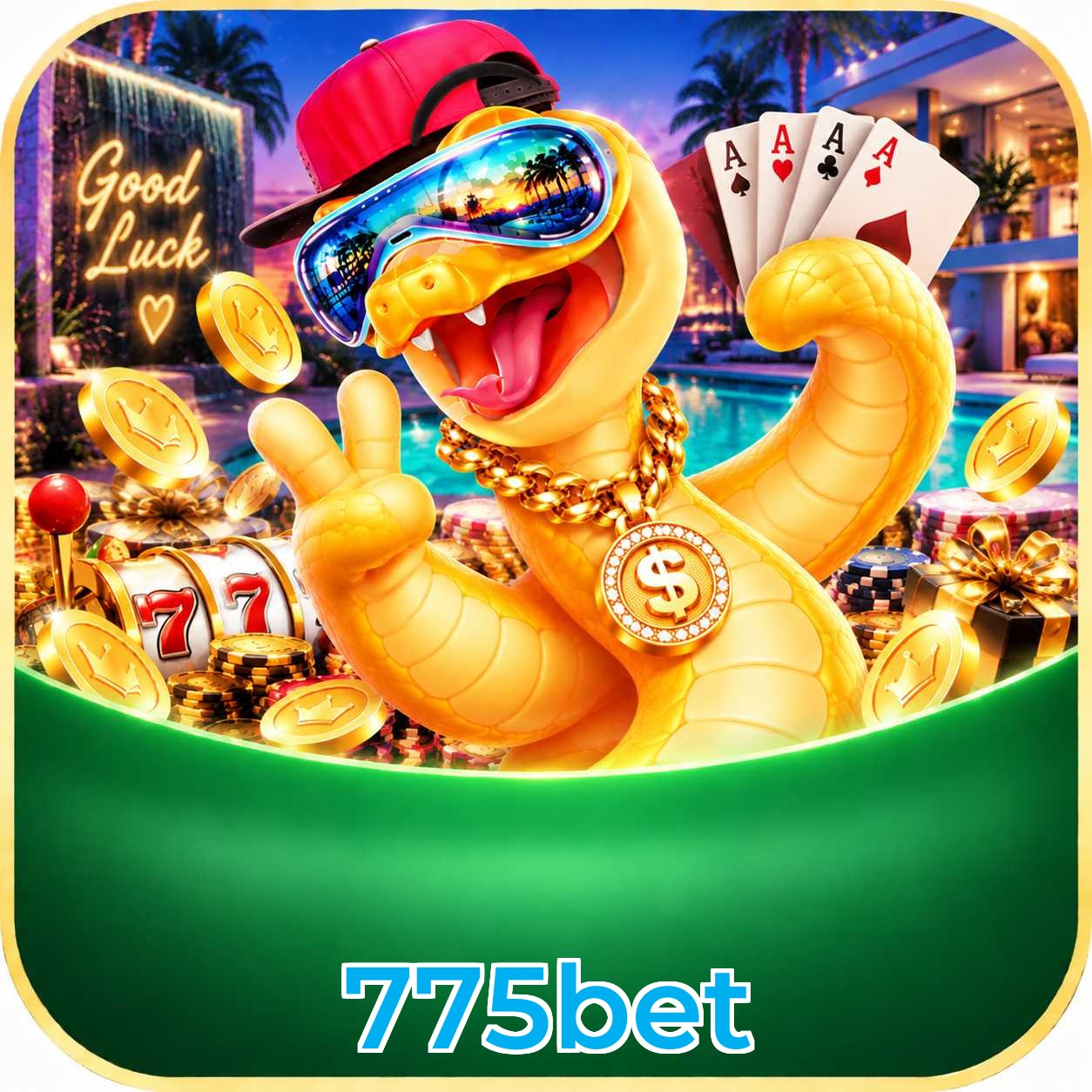 775bet App vs Web